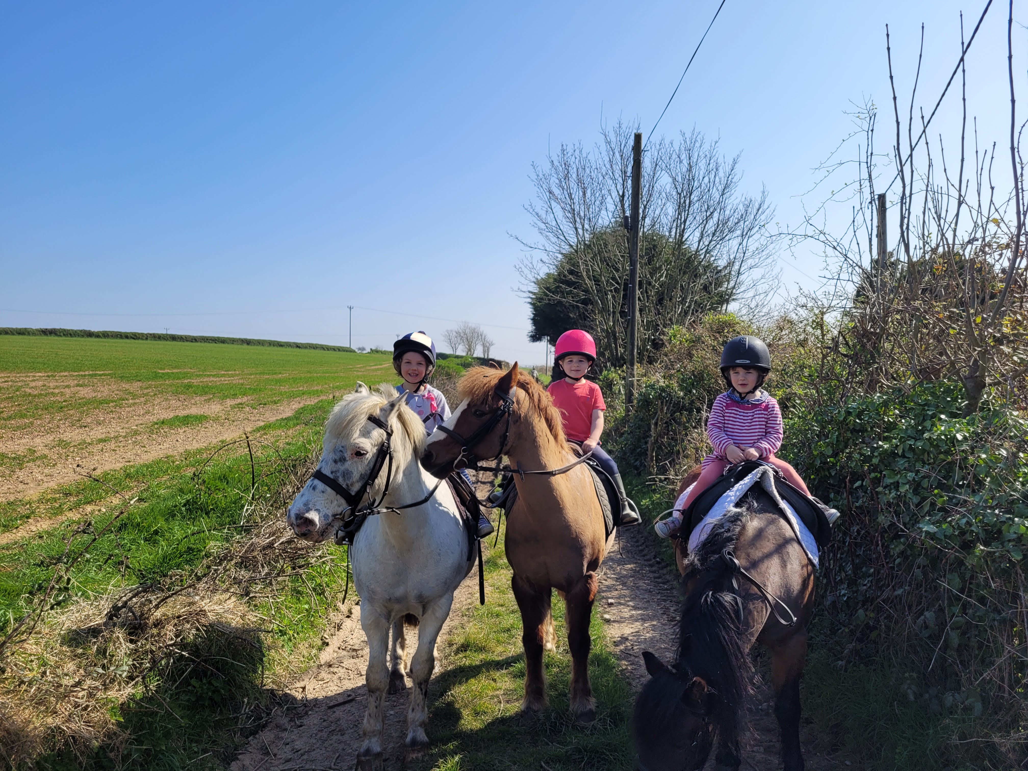 pony rides for young children in cornwall
