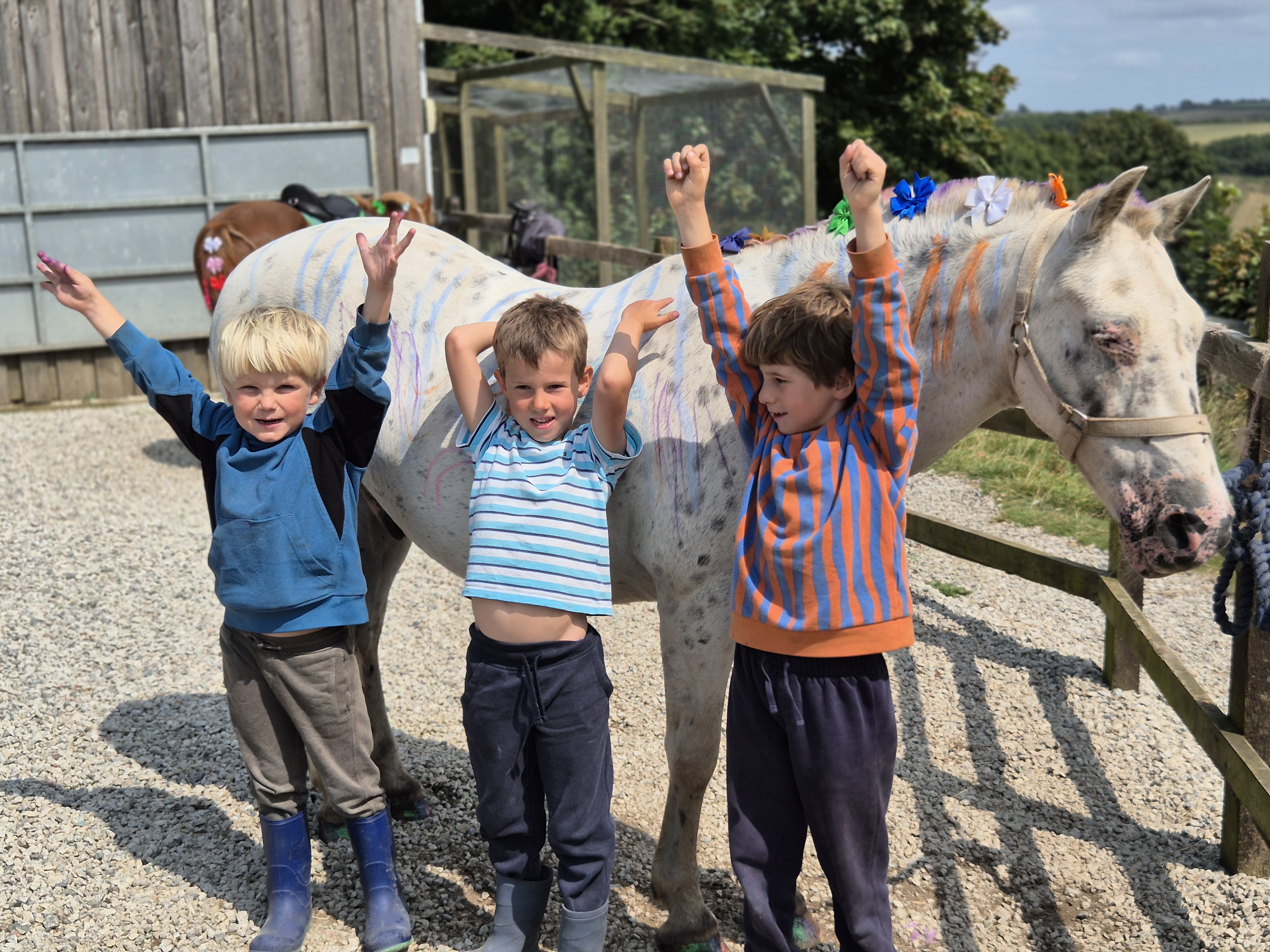 Treworgey pony club