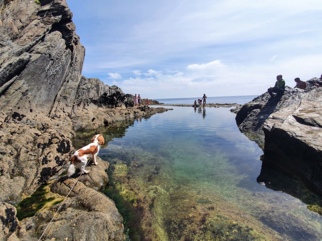 Swimming holidays in Cornwall 