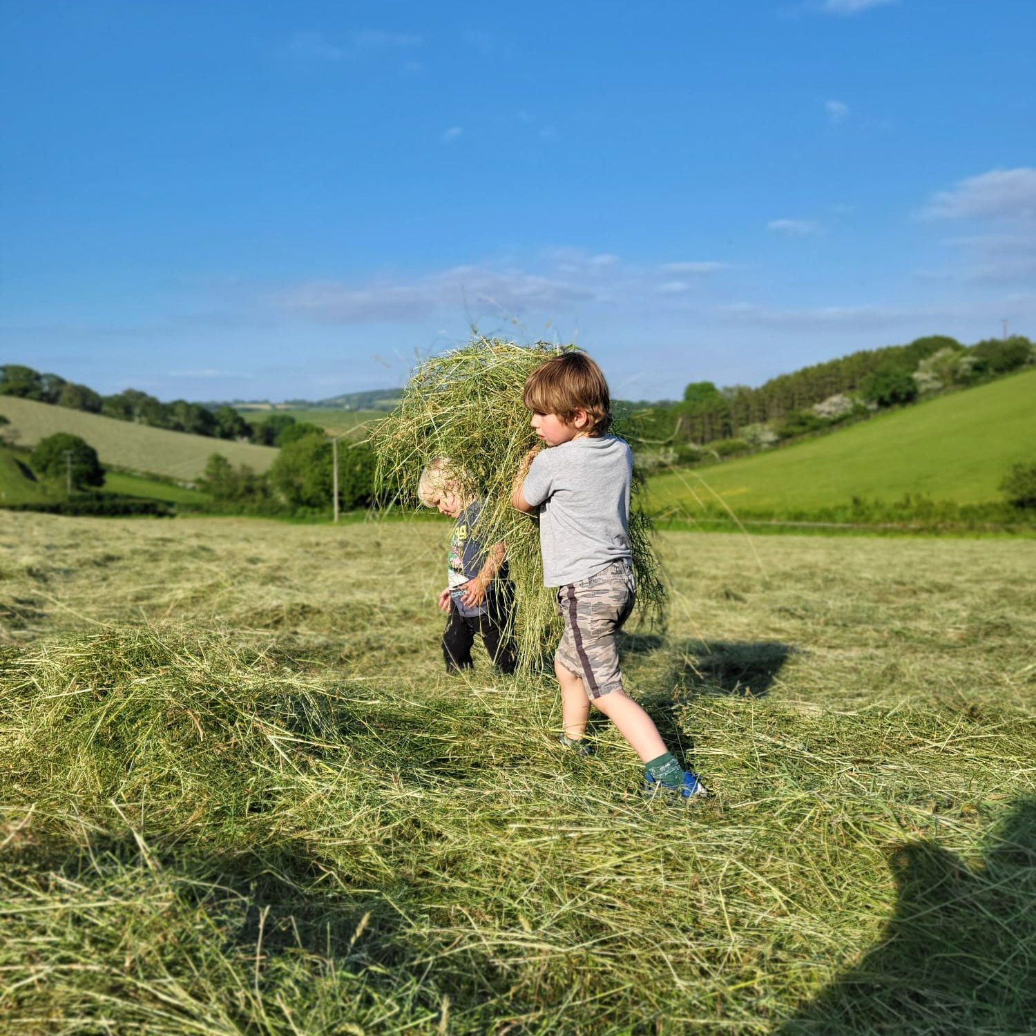 Farm holidays in Cornwall