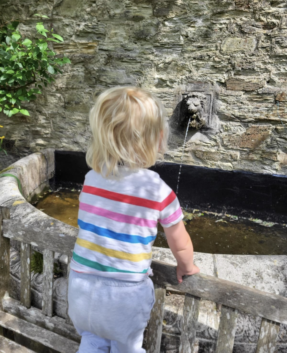 Places to eat while on holiday in Cornwall with kids 