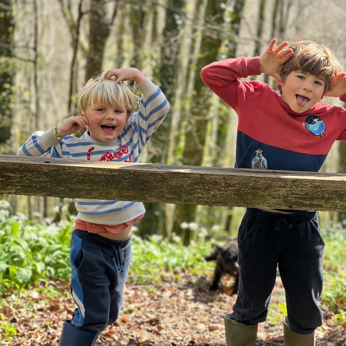 Luxury Spring breaks in Cornwall 