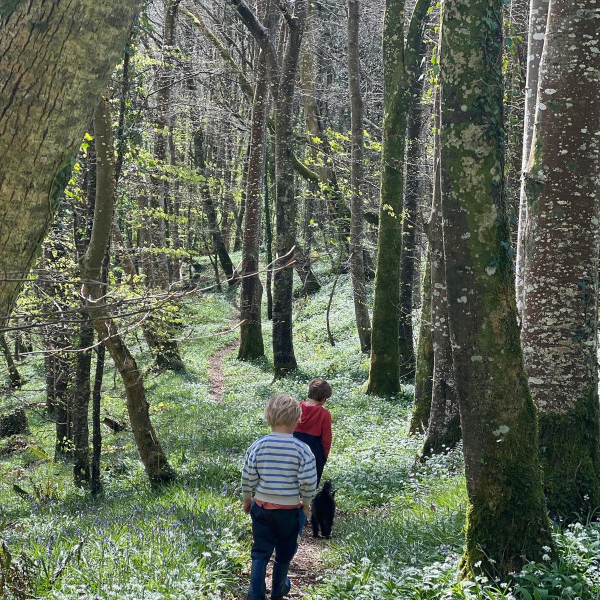 Luxury Spring breaks in Cornwall 