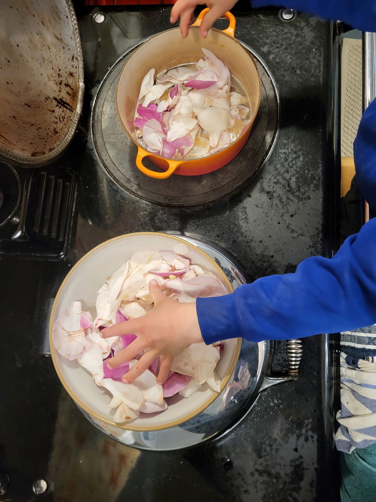 Making magnolia syrup