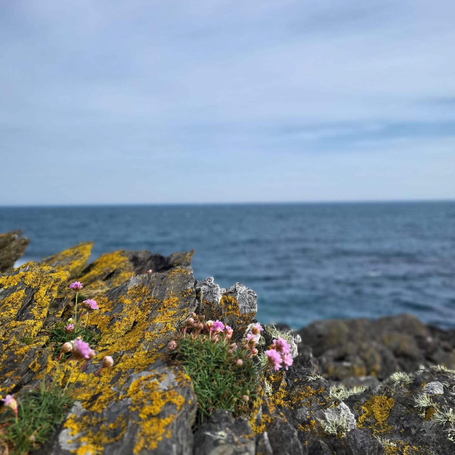 luxury family holidays in Cornwall with pool and hose riding close to the coast 