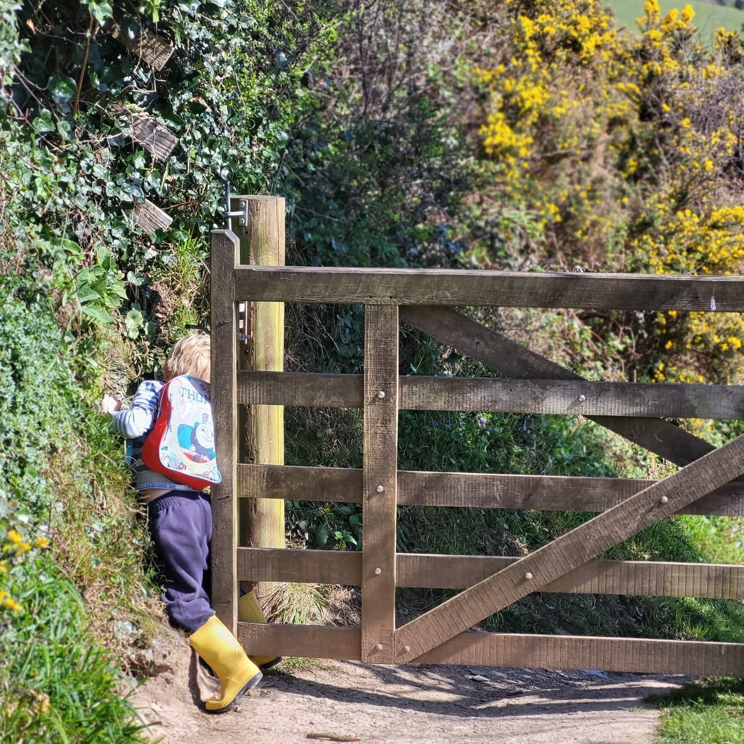 luxury family holidays in Cornwall with pool and hose riding close to the coast 