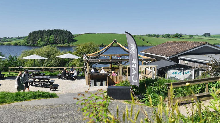 Olive and Co at Sibleyback