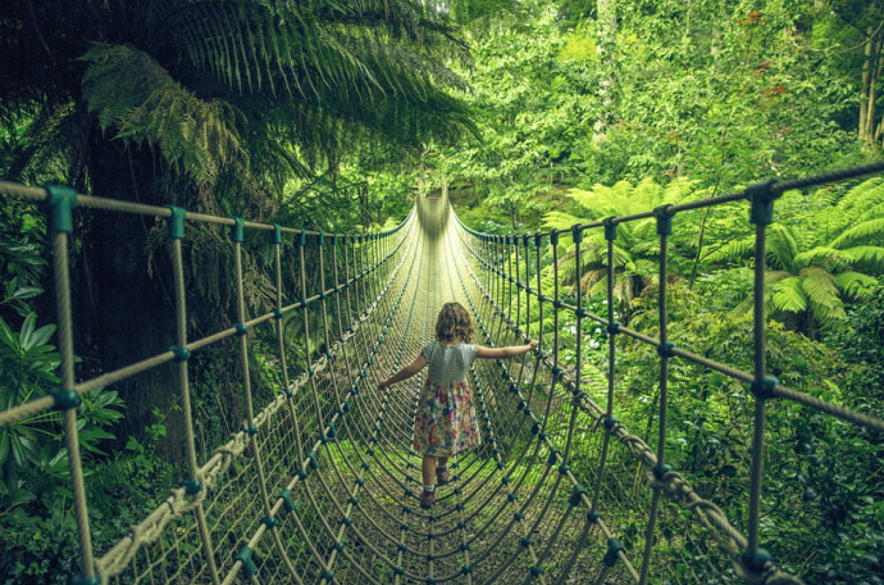 heligan bridge