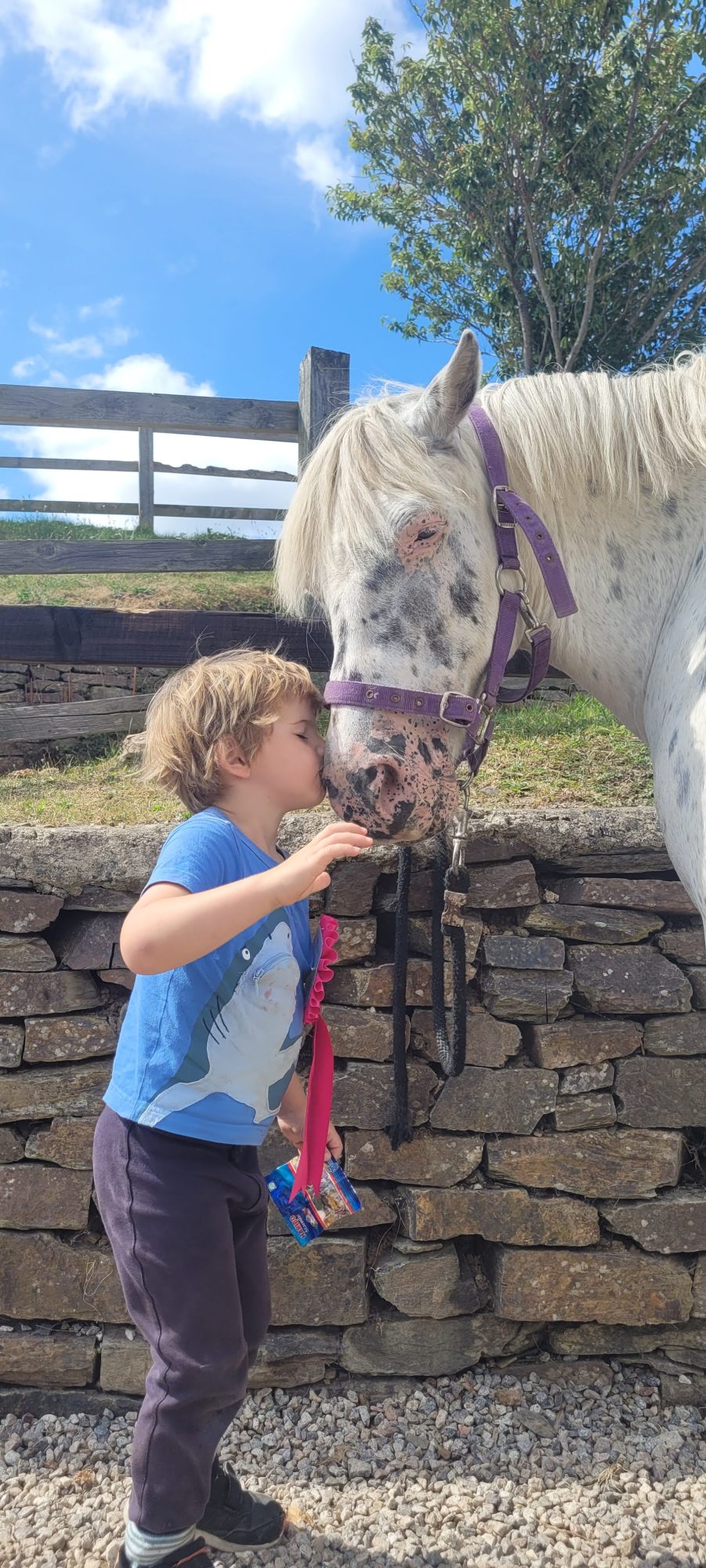Pony kiss at Treworgey