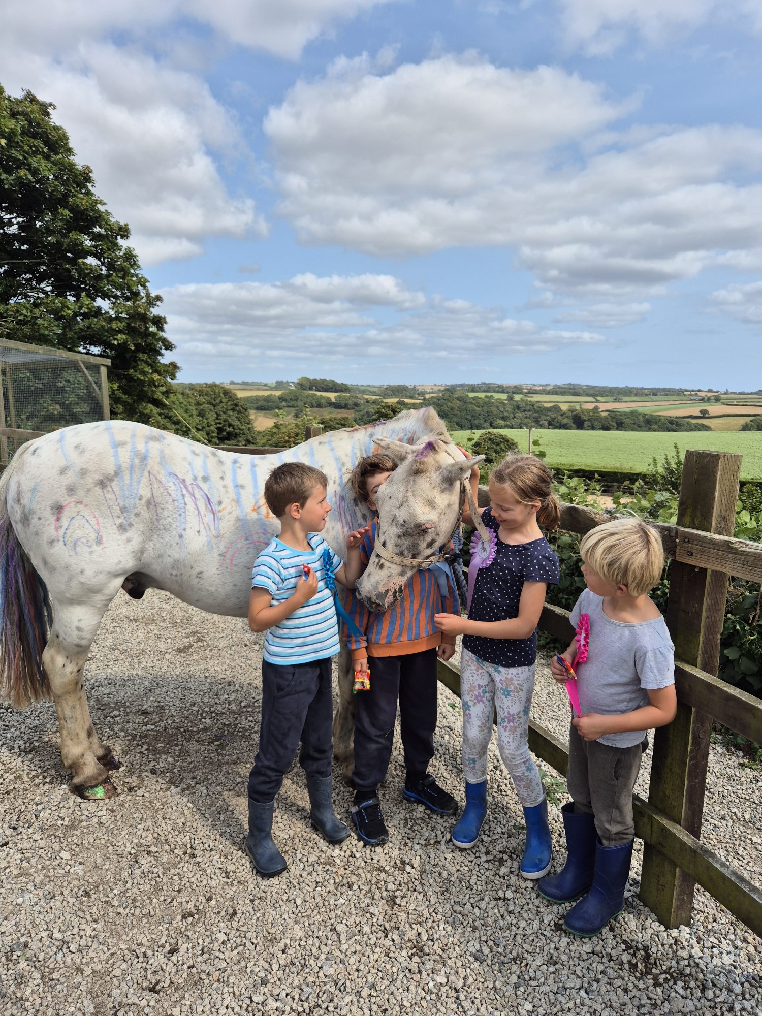 Ponies at Treworgey