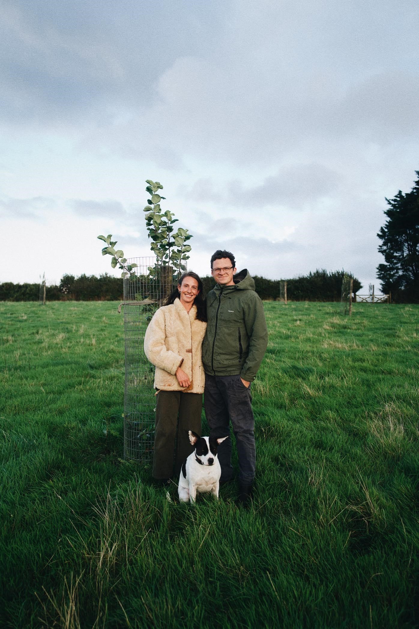 Natural cider in Cornwall