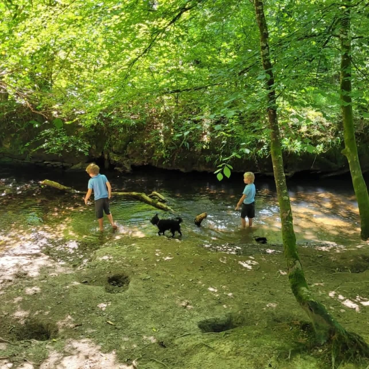 Luxury family holidays in the heart of Cornwall close to the coast