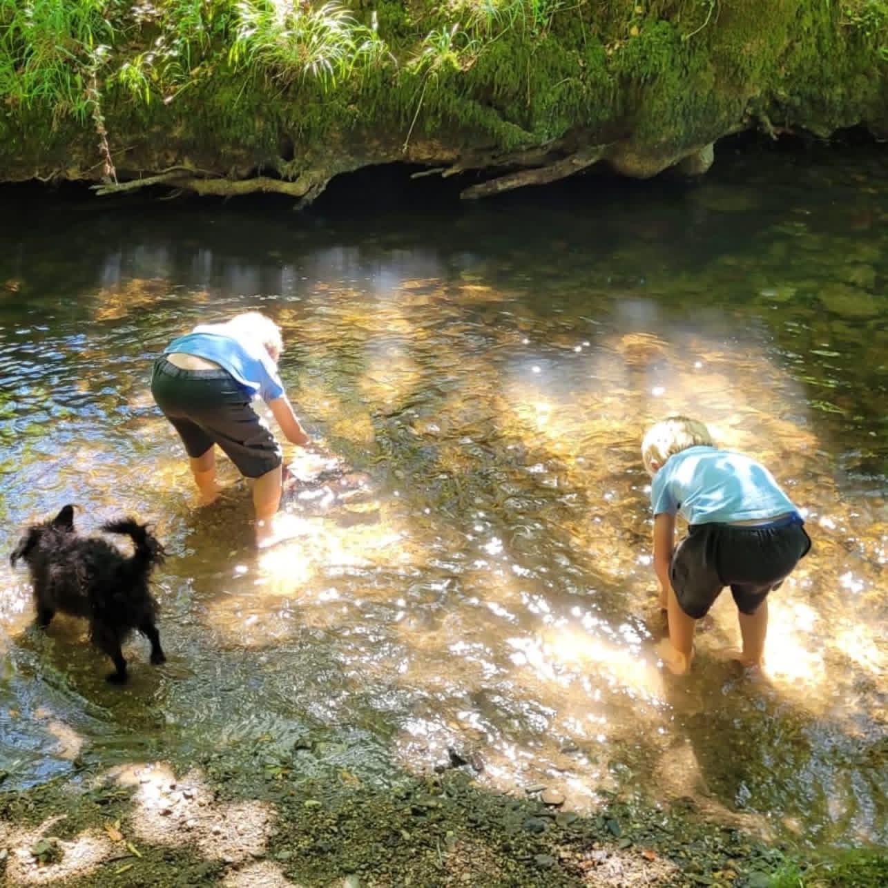 Luxury family holidays in the heart of Cornwall close to the coast