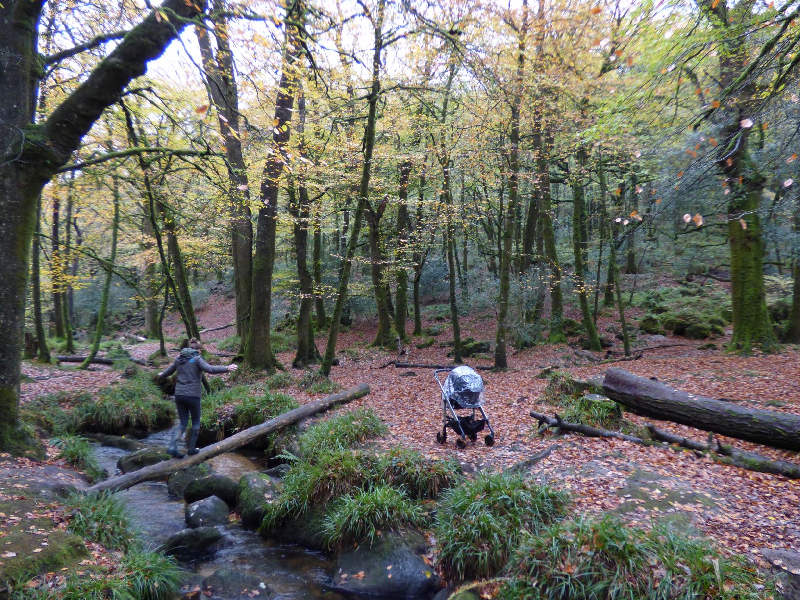 Autumn holidays in Cornwall 