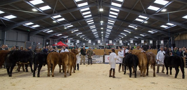 Farm holidays in Cornwall 