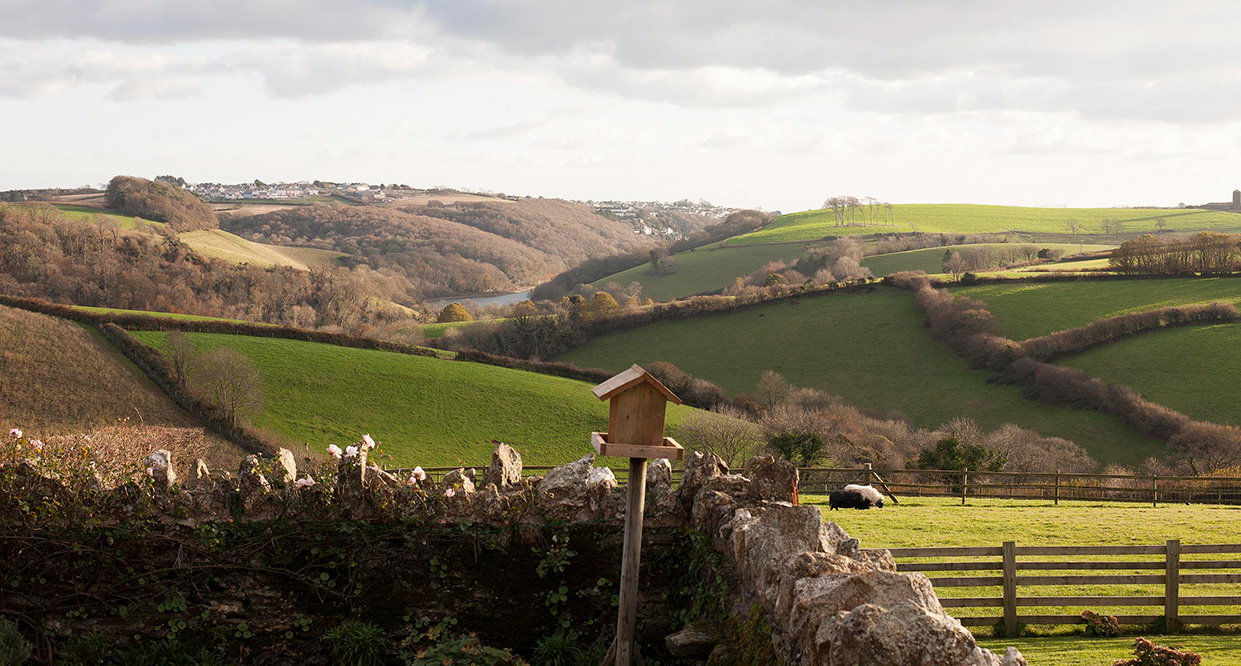 Holidays in Cornwall 