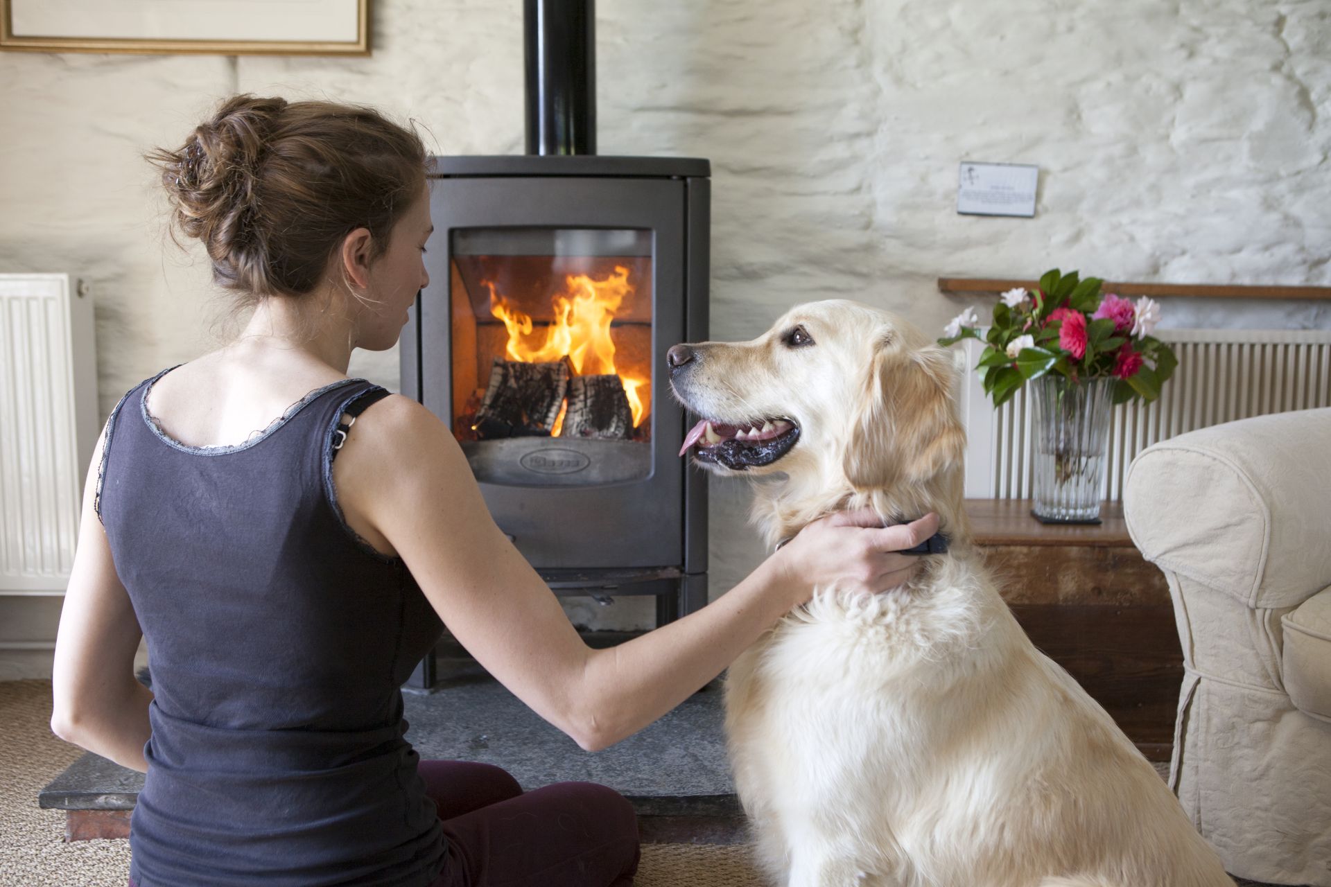 Dog friendly cottages in Cornwall 