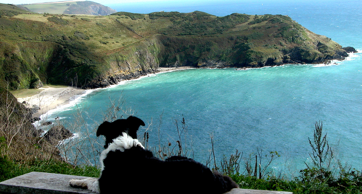 Luxury Dog friendly cottages in Cornwall near to Looe 